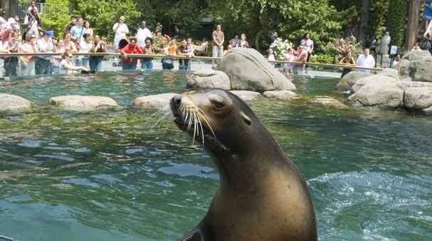 Central Park Zoo 