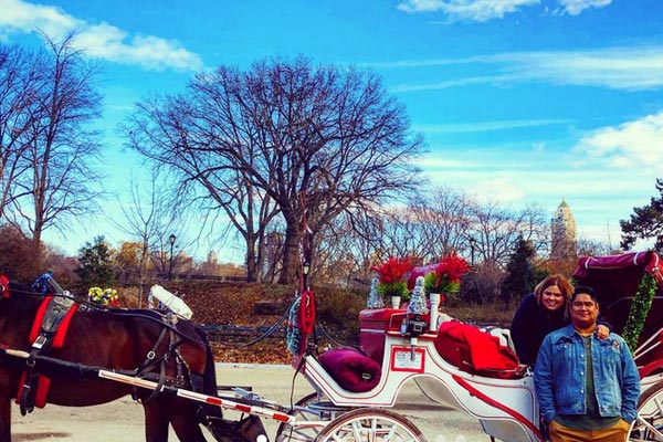 Boka en hästdroska i Central Park under julen