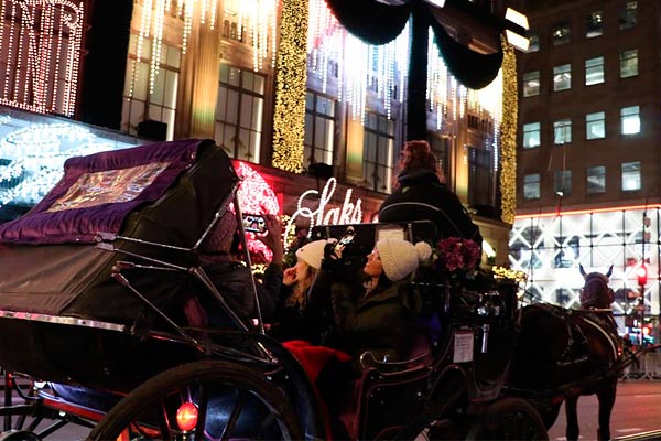 Boka en hästdroska i Central Park under julen