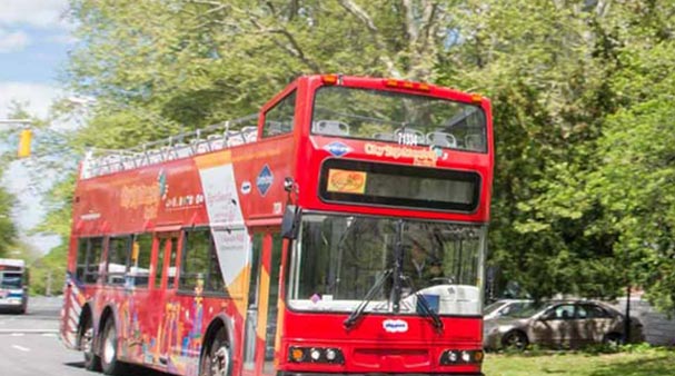 Hop on Hop off busstur 