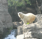 Central Park Zoo New York