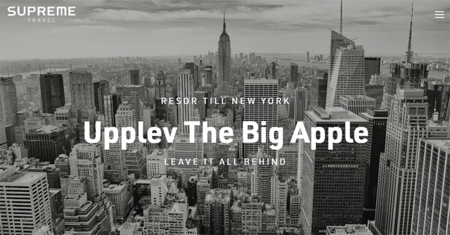 Paketresor till New York med supersavertravel